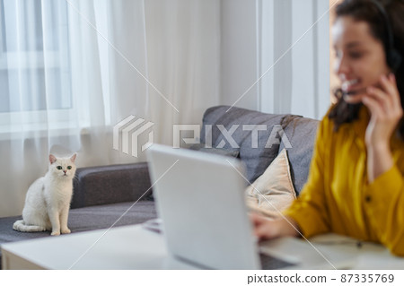 Cute young woman in a mustard shirt sitting at the laptop 87335769