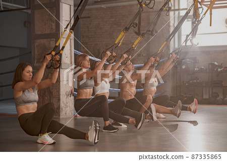 Group of young fitness people using fitness straps in sports club Group of young fitness people using fitness straps in sports club 87335865