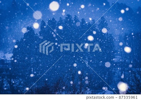 雪中朦朧的杉林 雪中朦朧的杉林 87335961