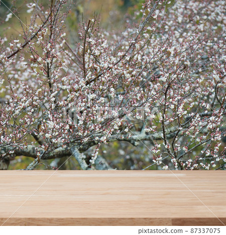empty wooden table for display product with beautiful flower empty wooden table for display product with beautiful flower 87337075