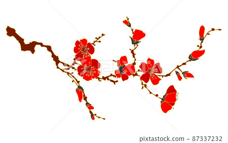 Quince flower or plum blossom 2 87337232