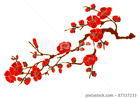 Quince flower or plum blossom 3 87337233