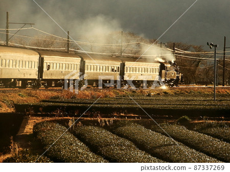 大井川鐵道夕陽下,蒸汽機車穿越茶園 大井川鐵道夕陽下,蒸汽機車穿越茶園 87337269
