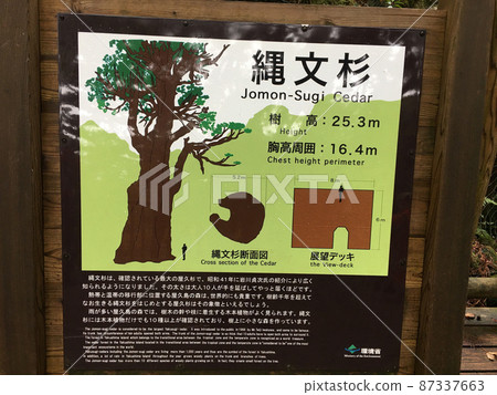 屋久島繩文雪鬆在徒步路線繩文雪鬆的目標 87337663