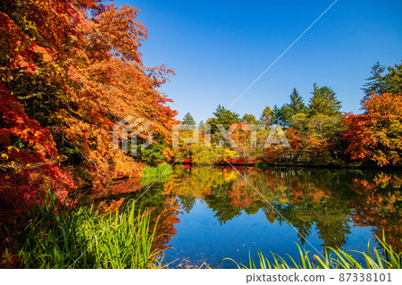 日本主要度假區之一輕井澤的秋色雲場池 87338101