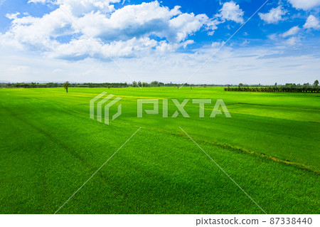 View over the early summer green fields or rice field from the air. View over the early summer green fields or rice field from the air. 87338440