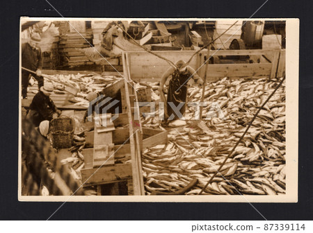 1939 年戰前北太平洋鮭魚作業的珍貴黑白照片。 1939 年戰前北太平洋鮭魚作業的珍貴黑白照片。 87339114