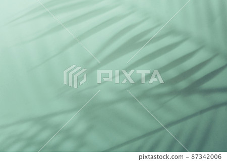 Natural palm leaves shadow on gradient paper background. Abstract blue and mint tropical backdrop. Soft light 87342006