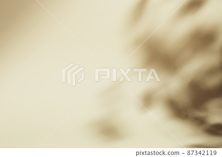 Natural foliage shadow on beige paper background. Abstract neutral floral backdrop. Soft light Natural foliage shadow on beige paper background. Abstract neutral floral backdrop. Soft light 87342119