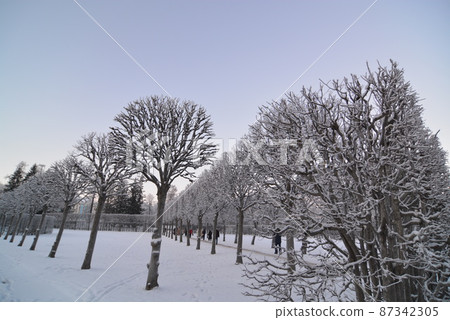Catherine Palace, Russia Catherine Palace, Russia 87342305