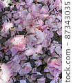 Peony cherry carpet 87343035