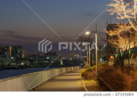 夜晚的野田南綠道，長廊，長廊，路燈 87343064