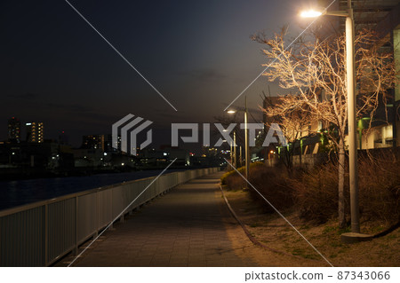 Noda Minami Ryokudo at night, promenade, promenade, streetlights Noda Minami Ryokudo at night, promenade, promenade, streetlights 87343066