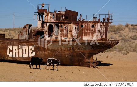 Panorama of ship cemetery near Moynaq at sunrise with the cows, Karakalpakstan, Uzbekistan Panorama of ship cemetery near Moynaq at sunrise with the cows, Karakalpakstan, Uzbekistan 87343094