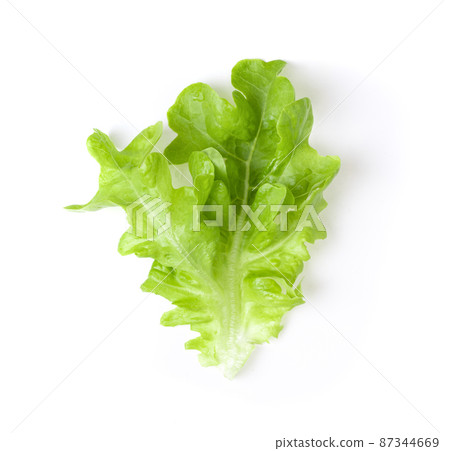 Fresh green lettuce salad leaves isolated on white background 87344669
