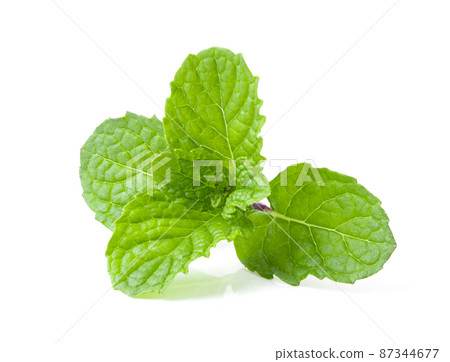 Mint leaves isolated on white Mint leaves isolated on white 87344677