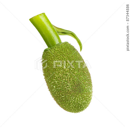 Young jackfruit isolated on white 87344886