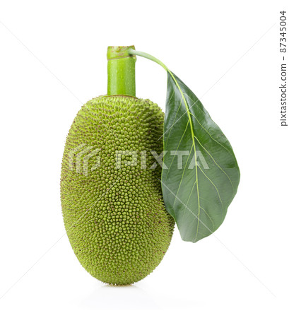 Young jackfruit isolated on white 87345004