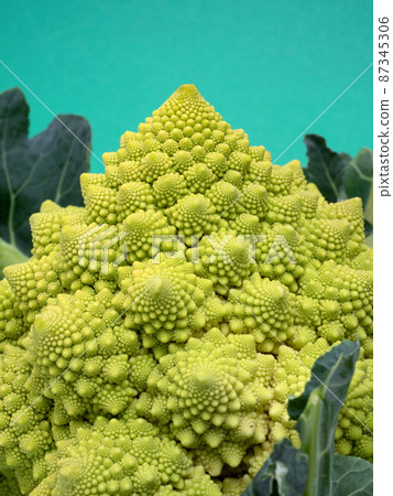 Romanesco Romanesco 87345306