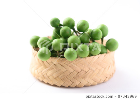 Pea eggplant or Turkey berry (Solanum torvum)  87345969