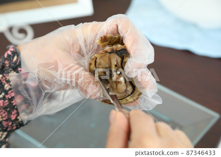 從綾子貝中取出珍珠製作飾品 從綾子貝中取出珍珠製作飾品 87346433