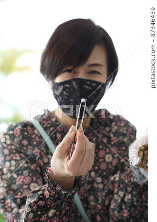 Making accessories from taking out pearls from Ayako shellfish wearing a mask 87346439