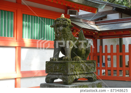住吉神社的小梅努(福岡縣福岡市博多) 住吉神社的小梅努(福岡縣福岡市博多) 87348625