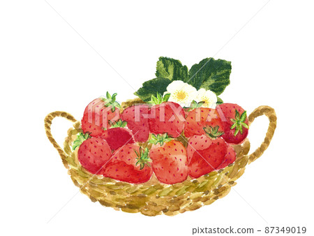 Add flowers to the strawberries in the basket [Hand-painted watercolor] White background Transparent background Copy space available 87349019