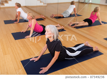 Group of elderly women performs an exercise in the dog pose face up Group of elderly women performs an exercise in the dog pose face up 87349236