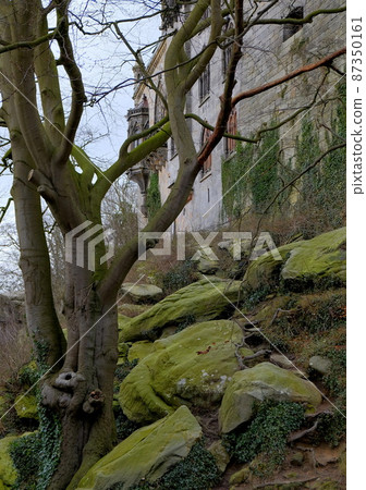 castle old tree hill rocks dark haunted house castle old tree hill rocks dark haunted house 87350161