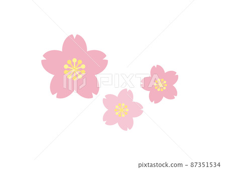 Illustration of cherry blossoms in full bloom... - Stock Illustration ...