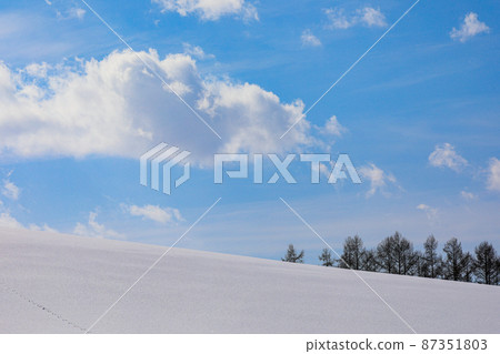 [Biei-cho, Hokkaido] Snowfield, blue sky and cumulus 87351803