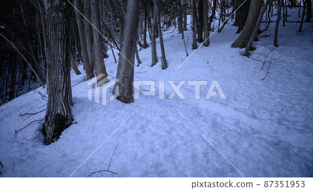 A dim snowy mountain / distress lost image 87351953
