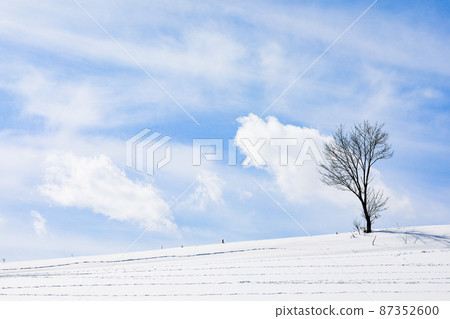 [北海道美瑛町]藍天白雲雪原 87352600