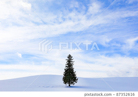 [Biei-cho, Hokkaido] Blue sky, clouds and Christmas tree 87352616