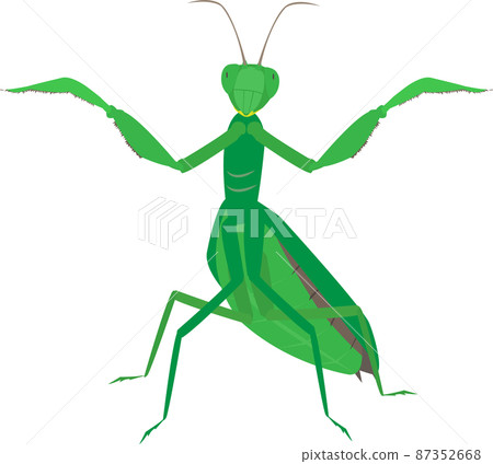 威脅螳螂 威脅螳螂 87352668