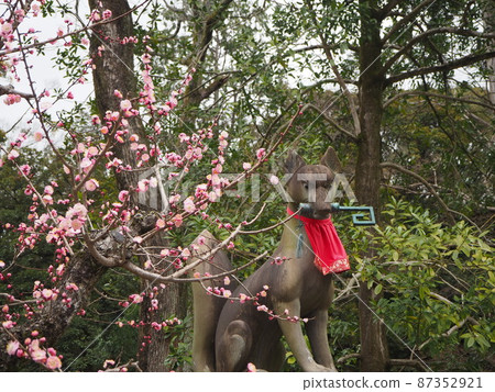 伏見稻荷神社的稻荷 伏見稻荷神社的稻荷 87352921