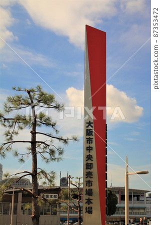 Osaka city central wholesale market 87353472