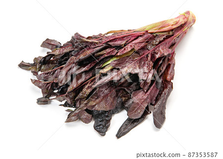 Red oak leaf lettuce Red oak leaf lettuce 87353587