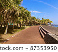 海濱長廊 87353950