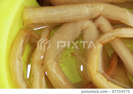 用水復水的干燥 zuiki 87354575