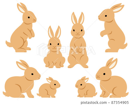 Brown rabbit illustration set 87354905
