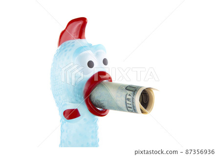 image of rubber chicken money white background  87356936