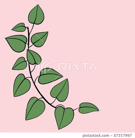 Simplicity ivy freehand drawing flat design. 87357997