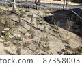 February tree planting ② 87358003