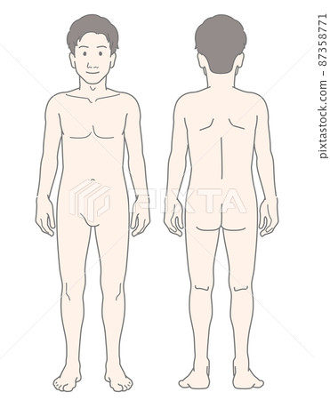 Male Young Slender Slim Whole Body Nude Nude Front and Back Set Illustration 87358771