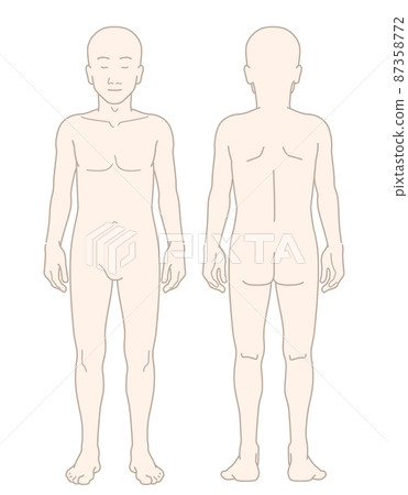 男性年輕苗條苗條全身裸體裸體無毛前後集插圖 男性年輕苗條苗條全身裸體裸體無毛前後集插圖 87358772
