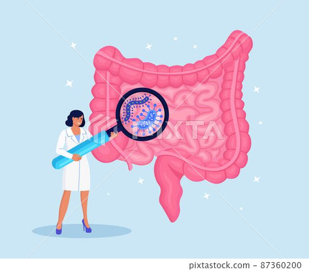 Doctor examining gastrointestinal tract, bowel, digestive system with magnifier. Intestinal inflammation, Enteritis, Colitis, Dysbacteriosis. Intestine health. Gut microorganisms and friendly flora Doctor examining gastrointestinal tract, bowel, digestive system with magnifier. Intestinal inflammation, Enteritis, Colitis, Dysbacteriosis. Intestine health. Gut microorganisms and friendly flora 87360200