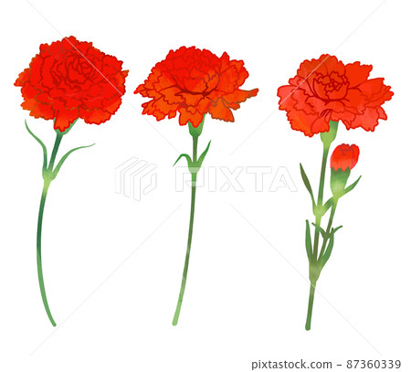 Cute illustration of carnation on Mother's Day Cute illustration of carnation on Mother's Day 87360339