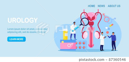 Urology concept. Urologist examining male reproductive system. Kidney and bladder treatment, hospital care. Doctors diagnosis sexually transmitted, venereal diseases. Bacterial infection 87360546